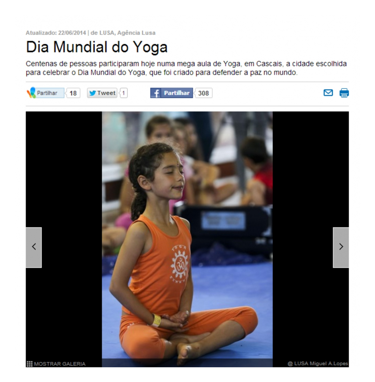 Prensa - Día Internacional del Yoga 2014